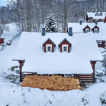 Modern Chalet Na Zlatniku Zlata Olesnice  Esterno foto