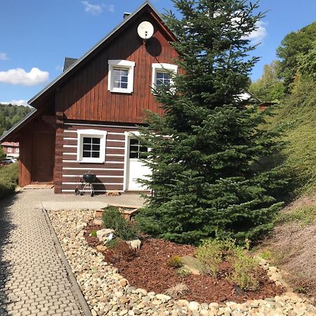 Modern Chalet Na Zlatniku Zlata Olesnice  Esterno foto