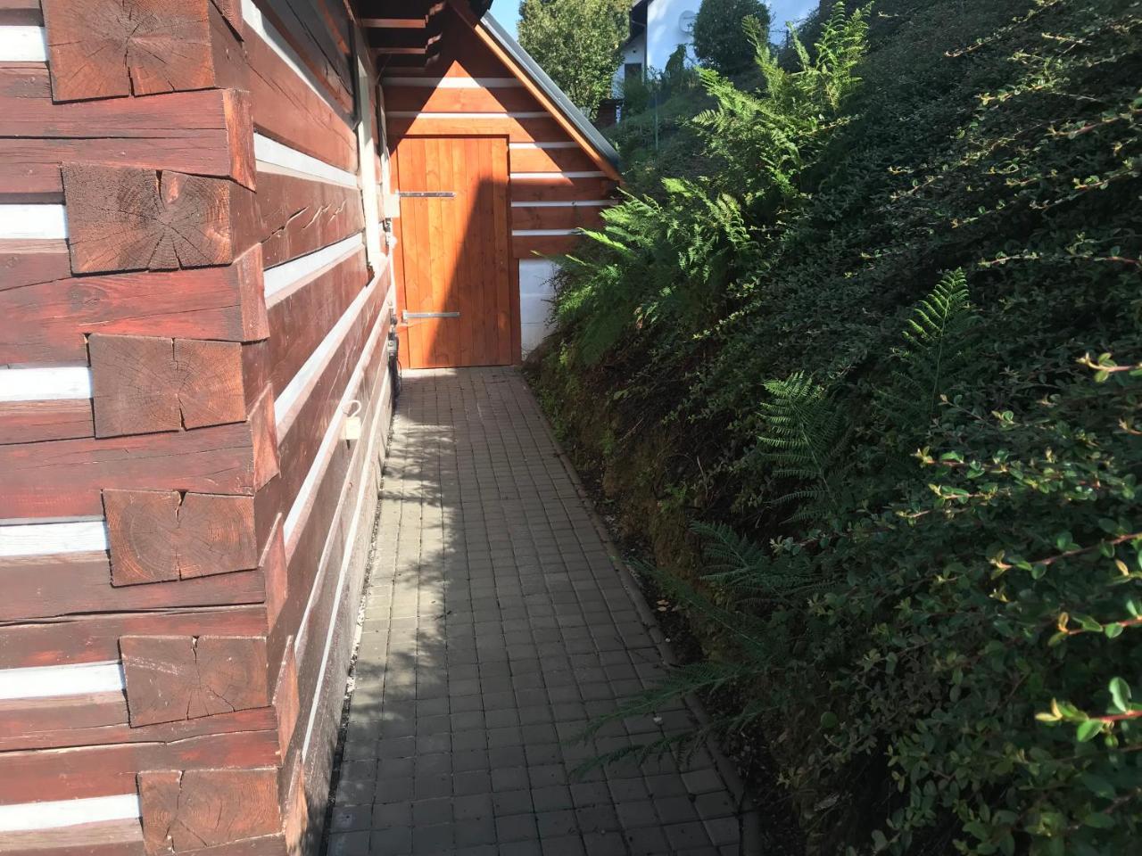 Modern Chalet Na Zlatniku Zlata Olesnice  Esterno foto